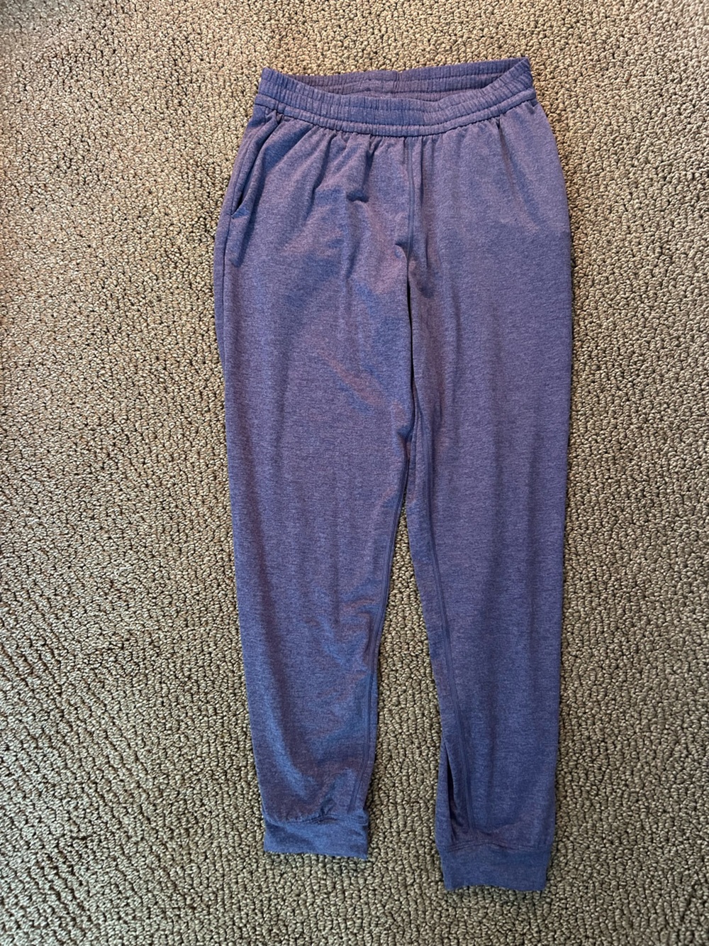 Patagonia Heather Purple Women's Jogger Track Pants
